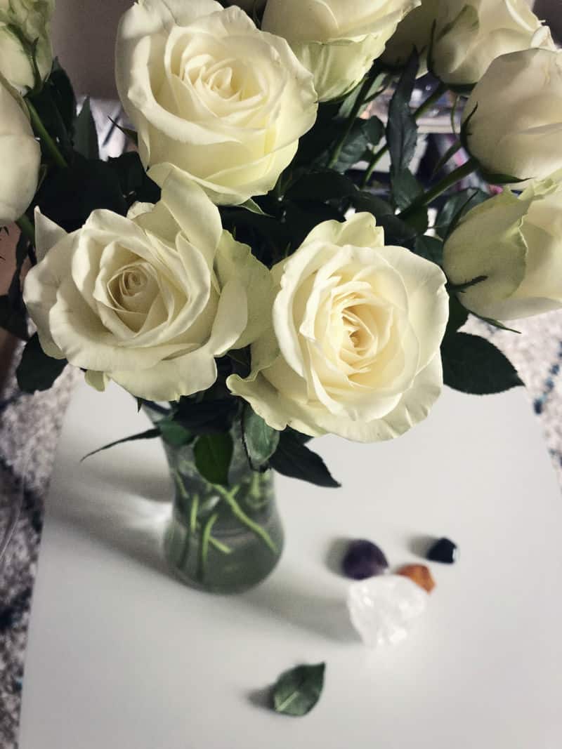 celebrate all the good things roses