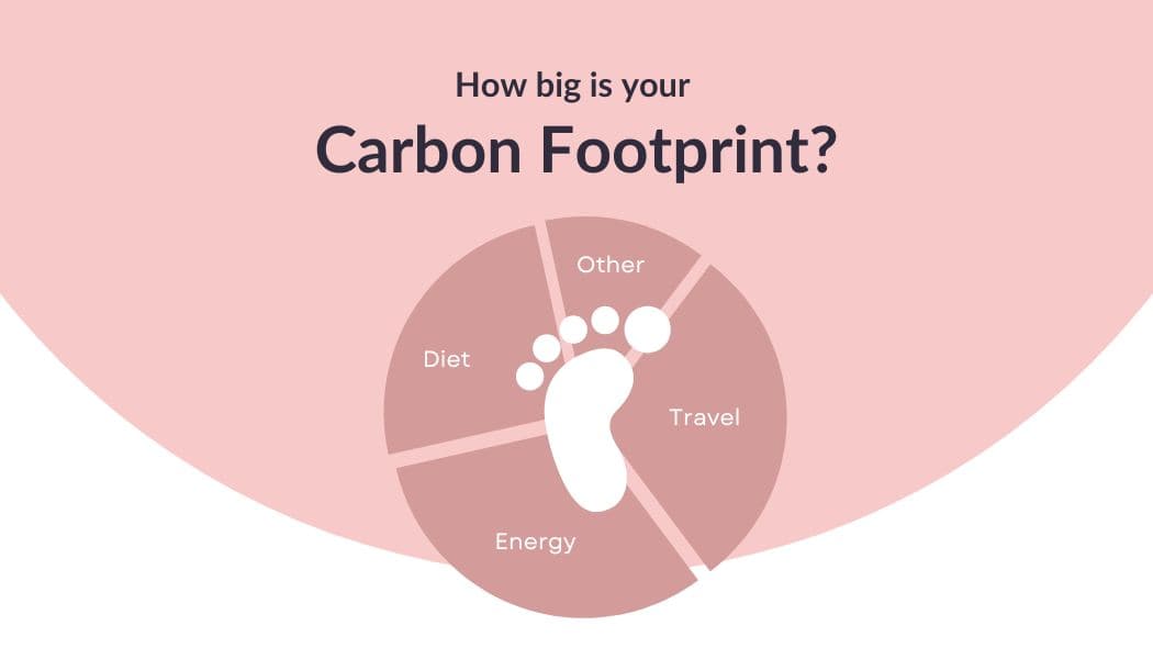 Measuring your carbon footprint